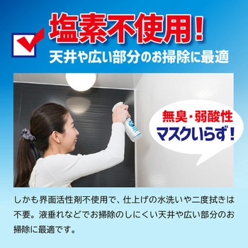 カビダッシュ カビ退治防カビプラス カビダッシュ