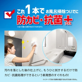 カビダッシュ カビ退治防カビプラス カビダッシュ
