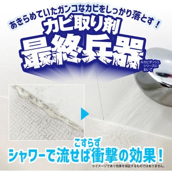 カビダッシュ 特濃ストロングジェル カビダッシュ
