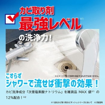 カビダッシュ 特濃ストロングジェル カビダッシュ