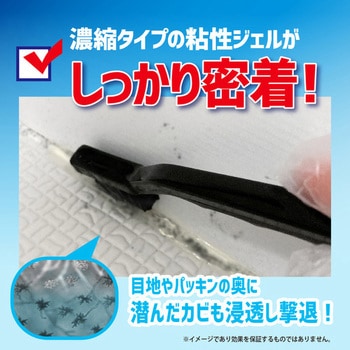 カビダッシュ 特濃ストロングジェル カビダッシュ