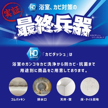 カビダッシュ 特濃ストロングジェル カビダッシュ
