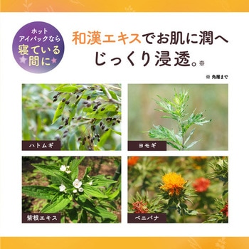温和漢 ホットアイパック 温和漢