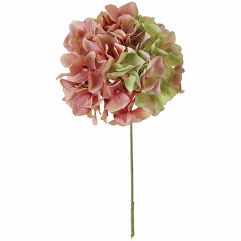 FM025048-048 �A���X�n�C�h�����W�A MAGIQ(������) 20741755