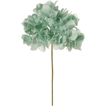 FM025048-223 �A���X�n�C�h�����W�A MAGIQ(������) 20741886