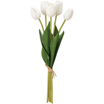 FM008051-001 ~`[bvoh  20742349