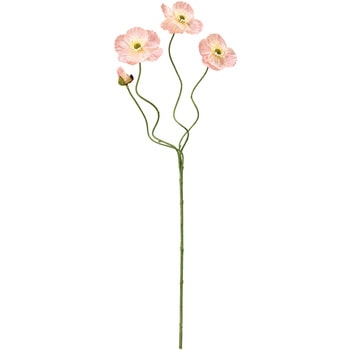 FM008326-006 Gi|s[  20742376