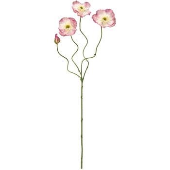 FM008326-048 Gi|s[  20742385