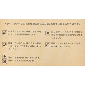 ドライフラワーカード 東京堂