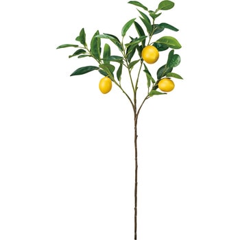 レモンブランチ MAGIQ(東京堂)