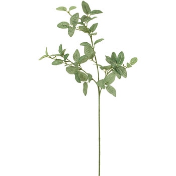 フィットニアスプレー MAGIQ(東京堂)