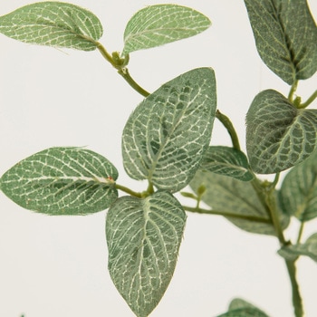 フィットニアスプレー MAGIQ(東京堂)