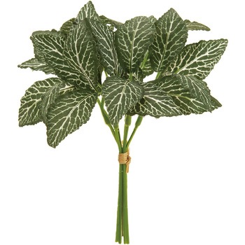 FG001938-024 ヒポエステスピック MAGIQ(東京堂) 20745727