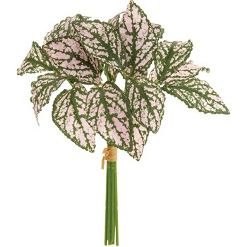 FG001938-025 ヒポエステスピック MAGIQ(東京堂) 20745736