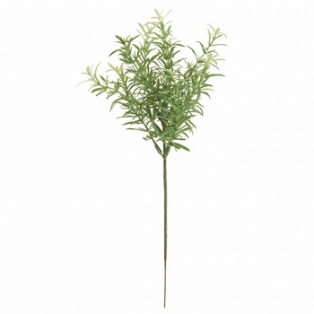 ローズマリーピック - MAGIQ(東京堂)