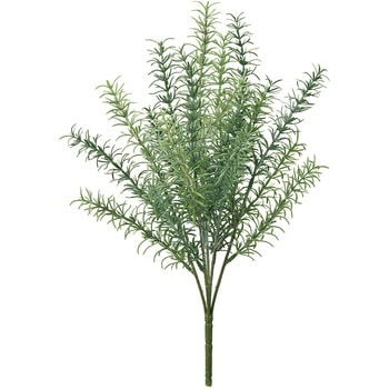 ガーデンローズマリーブッシュ MAGIQ(東京堂)