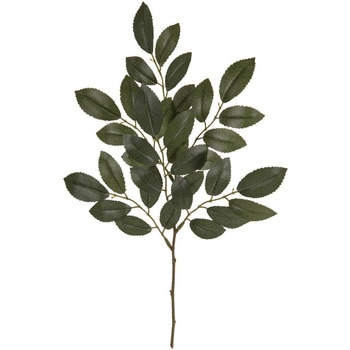 ヒサカキスプレー MAGIQ(東京堂)