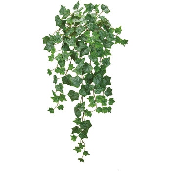 フェリックスアイビーバイン MAGIQ(東京堂)