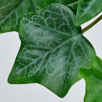 フェリックスアイビーバイン MAGIQ(東京堂)