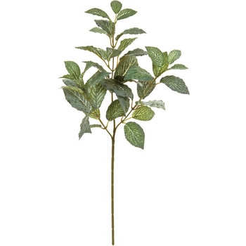 フィットニアリーフスプレー - MAGIQ(東京堂)