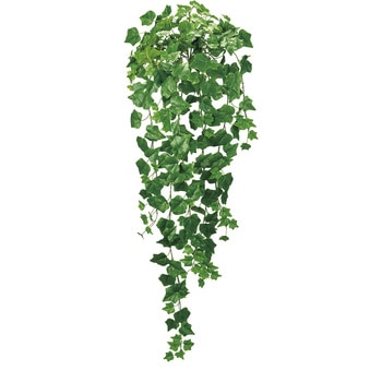 エクステリアアイビーロングバイン MAGIQ(東京堂)