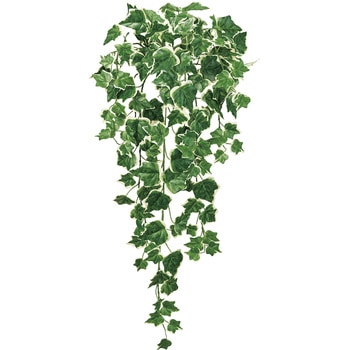 エクステリアアイビーバイン MAGIQ(東京堂)