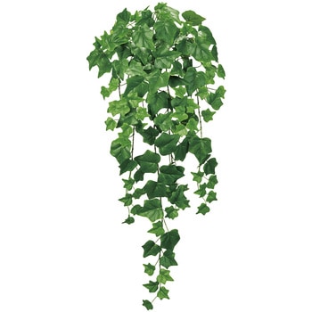 エクステリアアイビーバイン MAGIQ(東京堂)