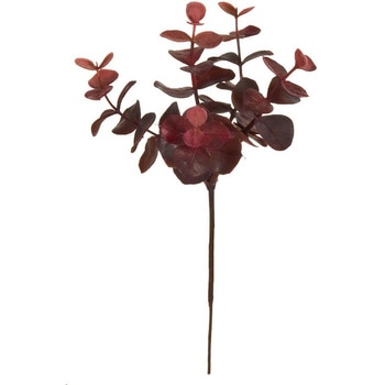 ユーカリプリピック MAGIQ(東京堂)