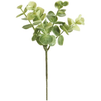 FG008796-022 ���[�J���v���s�b�N MAGIQ(������) 1��(6�{) FG008796-022 20746445