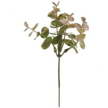 FG008796-025 ���[�J���v���s�b�N MAGIQ(������) 1��(6�{) FG008796-025 20746470