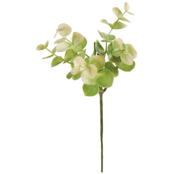 FG008796-026 ���[�J���v���s�b�N MAGIQ(������) 1��(6�{) FG008796-026 20746479