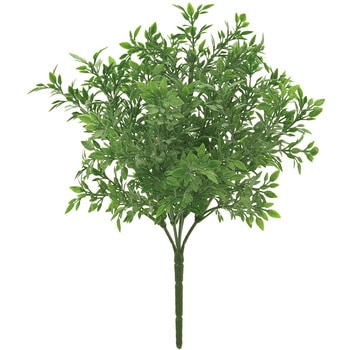 ティーリーフブッシュ - MAGIQ(東京堂)