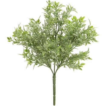 ティーリーフブッシュ - MAGIQ(東京堂)