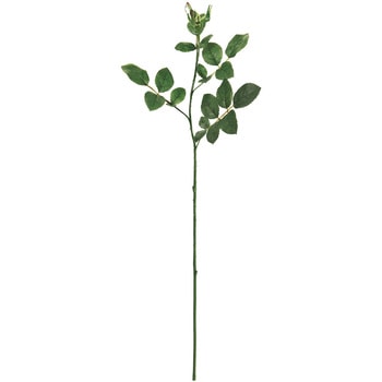 プリステム ローズM MAGIQ(東京堂)