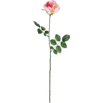 FM000115-016 �~�V�F�����[�Y MAGIQ(������) 20746707