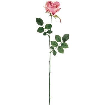 FM000115-048 �~�V�F�����[�Y MAGIQ(������) 20746759