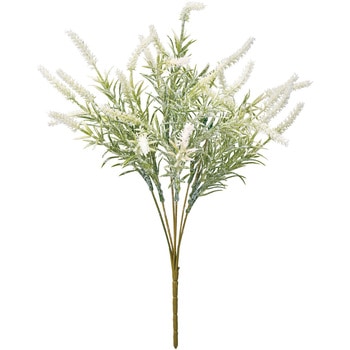 ニュアンスフォックステールブッシュ MAGIQ(東京堂)