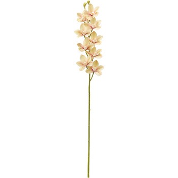 FM001108-006 uCgVrWE MAGIQ() I[Lbh  20747179