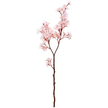 あかり桜 MAGIQ(東京堂)