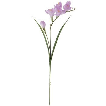 FM001832-011 �}���i�t���[�W�A MAGIQ(������) ���� 20747398