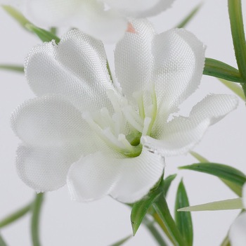 ミルブロッサムスプレー MAGIQ(東京堂)