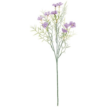 ミルブロッサムスプレー MAGIQ(東京堂)