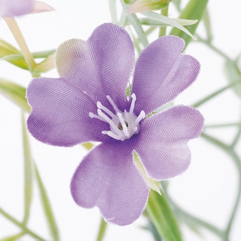 ミルブロッサムスプレー MAGIQ(東京堂)