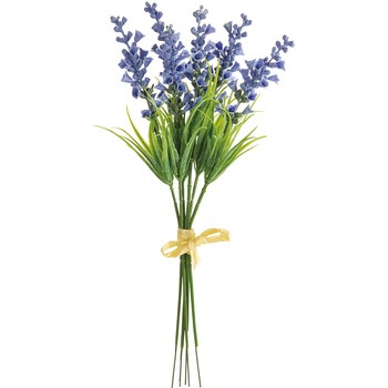 FM002373-005 XexjJsbN MAGIQ() 1(6{) FM002373-005 20747924