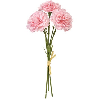 FM002568-002 ���C�J�[�l�[�V�����s�b�N ������ 20747985