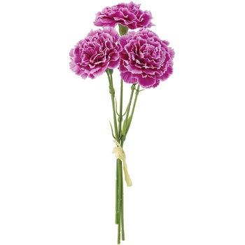 FM002568-050 ���C�J�[�l�[�V�����s�b�N ������ 20748019