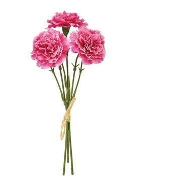 FM002568-052 ���C�J�[�l�[�V�����s�b�N ������ 20748028