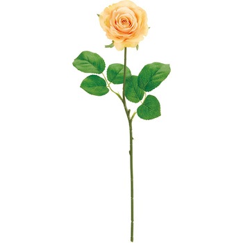 FM002787-006 �t�����e�B�A���[�Y MAGIQ(������) 20748134