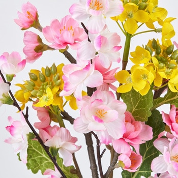 ひなの花束 MAGIQ(東京堂)