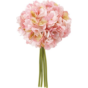 リラハイドレンジアバンドル MAGIQ(東京堂)